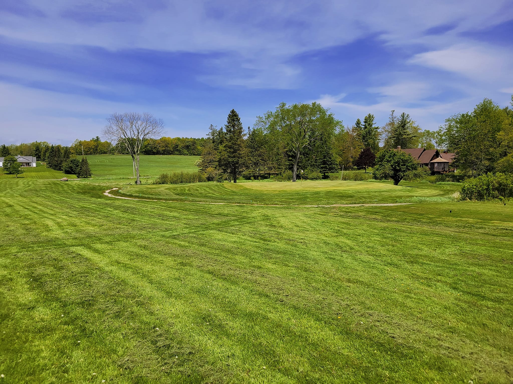 Image of golf ball on tee on grass.